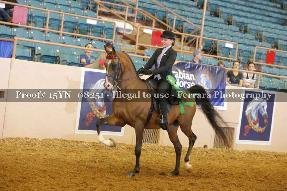 Proof 15YN_08251