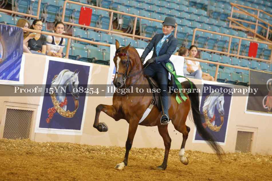 Proof 15YN_08254