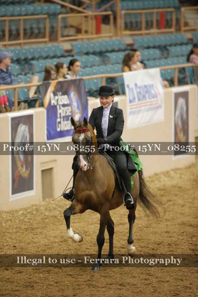 Proof 15YN_08255