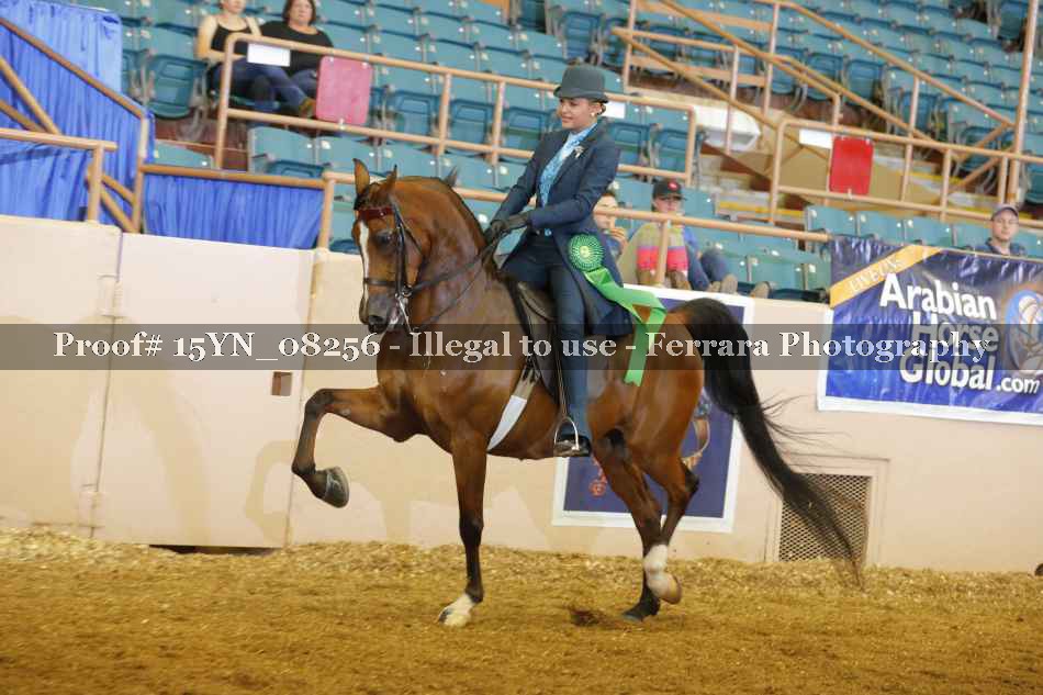 Proof 15YN_08256