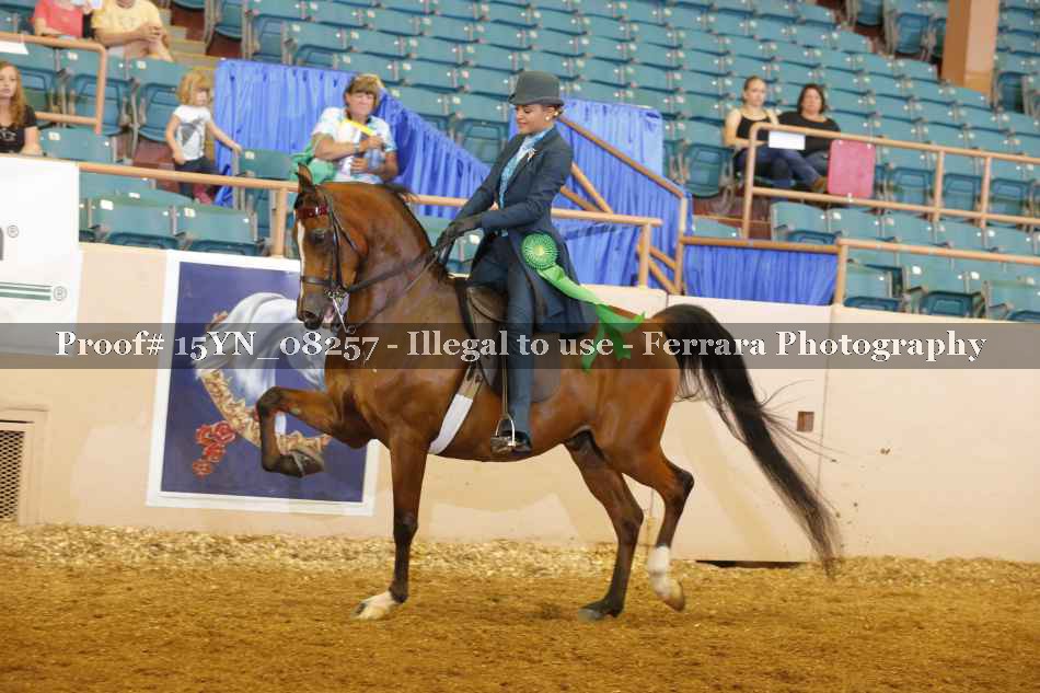 Proof 15YN_08257
