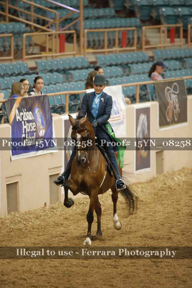 Proof 15YN_08258