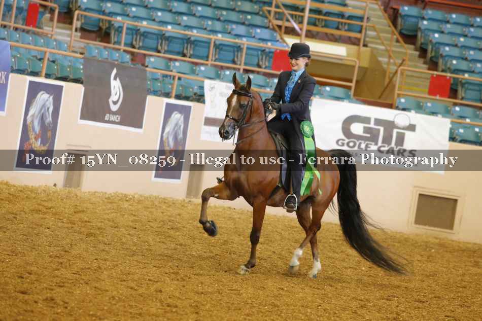 Proof 15YN_08259