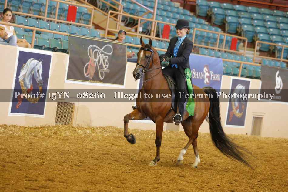 Proof 15YN_08260