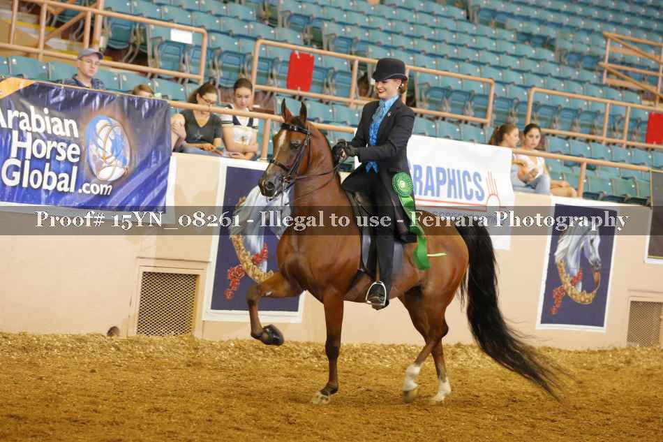 Proof 15YN_08261
