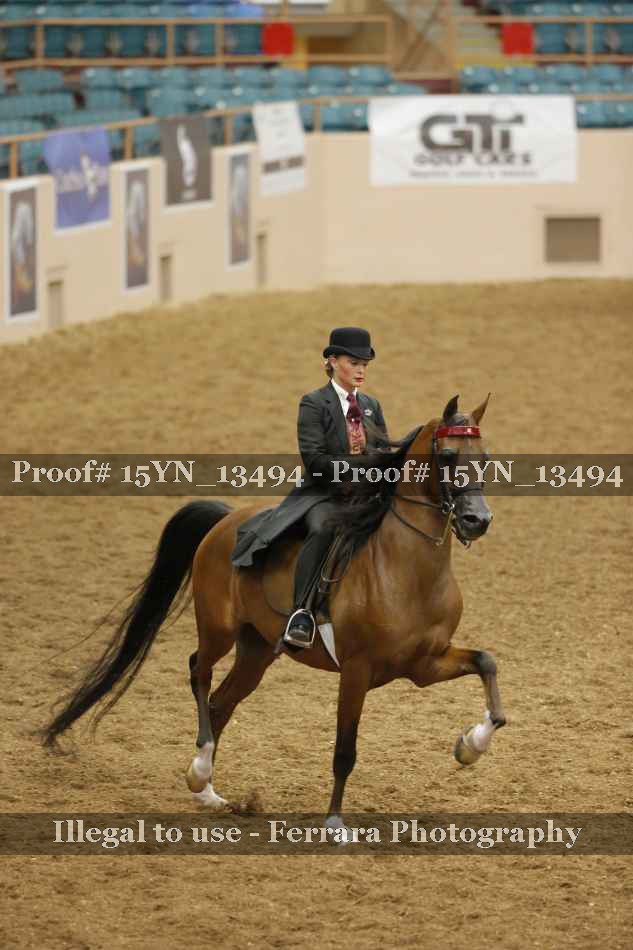 Proof 15YN_13494