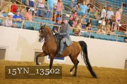 15YN_13502 proof