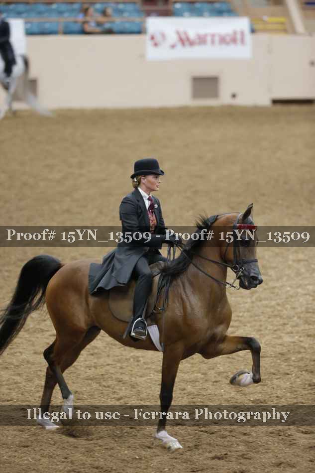 Proof 15YN_13509