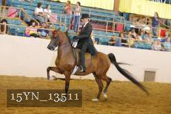 15YN_13511 proof