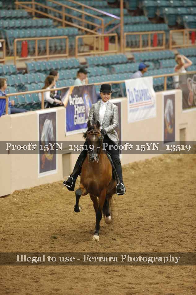 Proof 15YN_13519