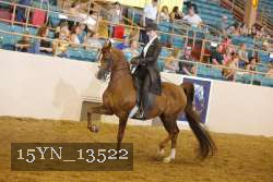 15YN_13522 proof