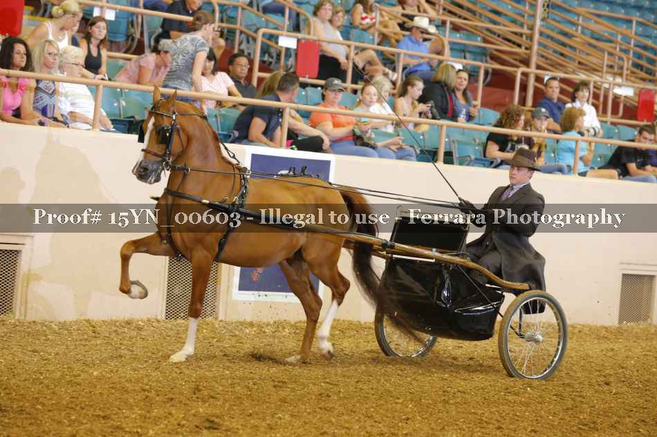 Proof 15YN_00603