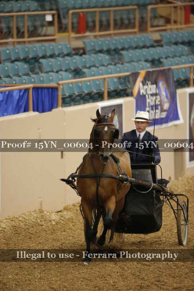 Proof 15YN_00604