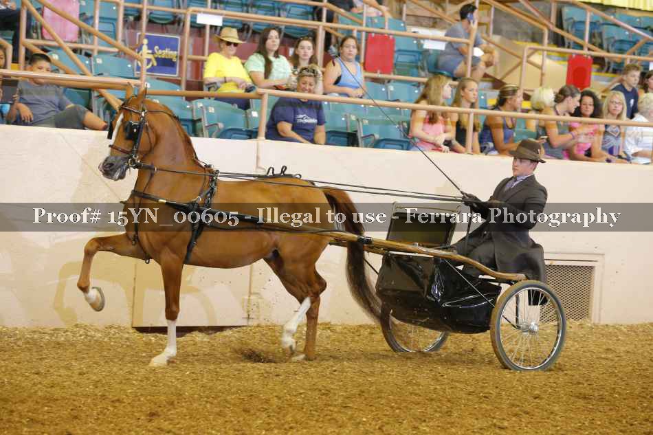 Proof 15YN_00605