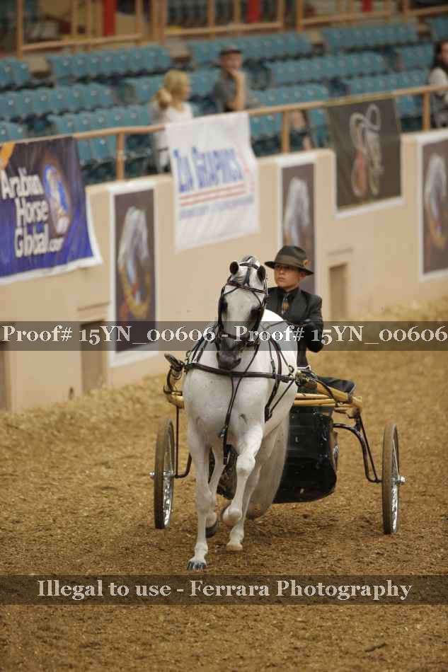 Proof 15YN_00606