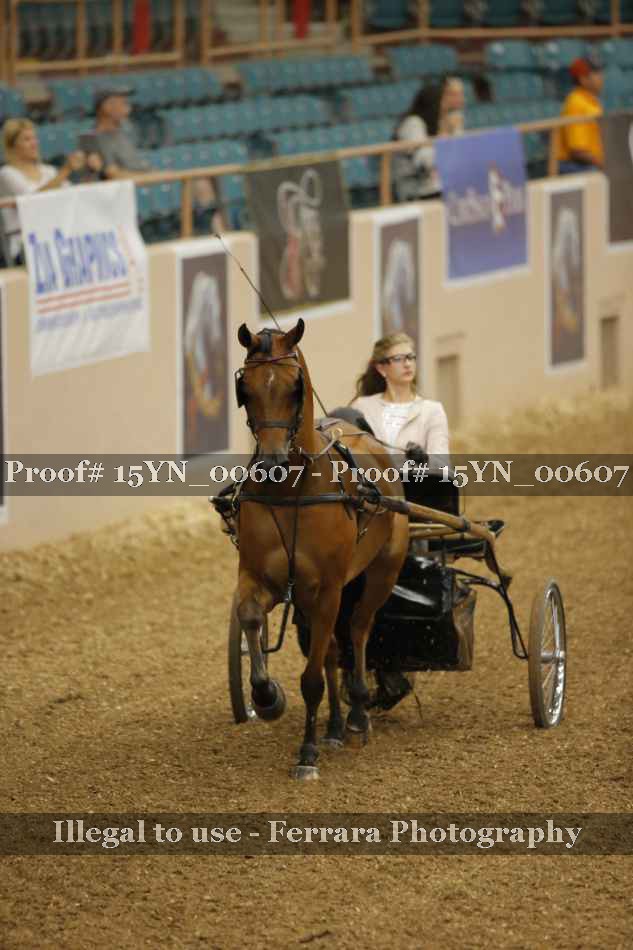 Proof 15YN_00607