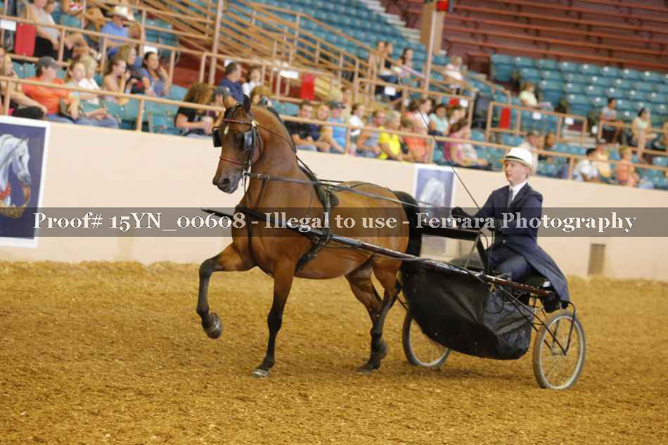 Proof 15YN_00608
