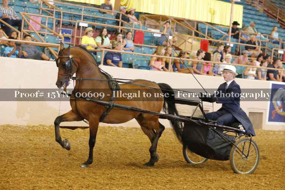 Proof 15YN_00609