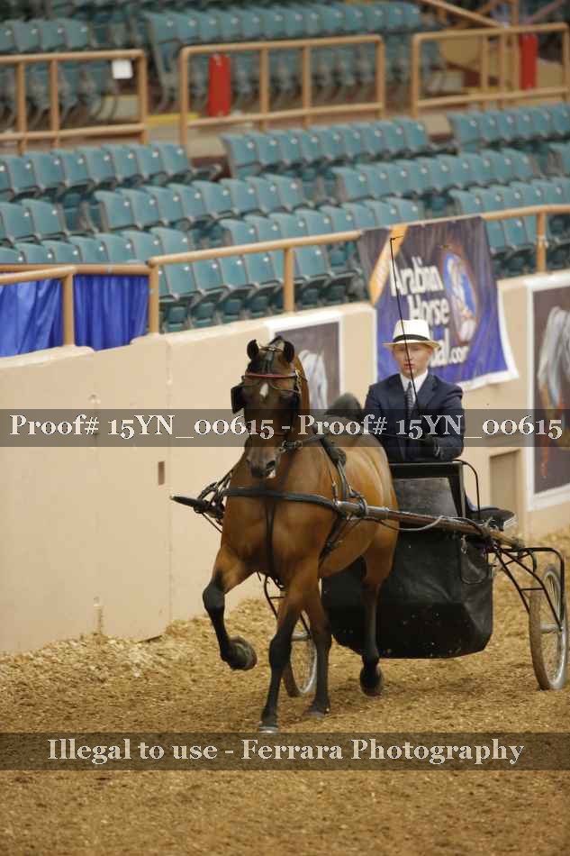 Proof 15YN_00615