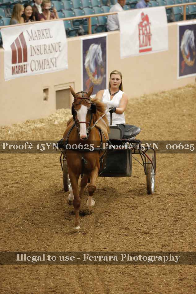 Proof 15YN_00625