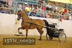 15YN_00630 proof