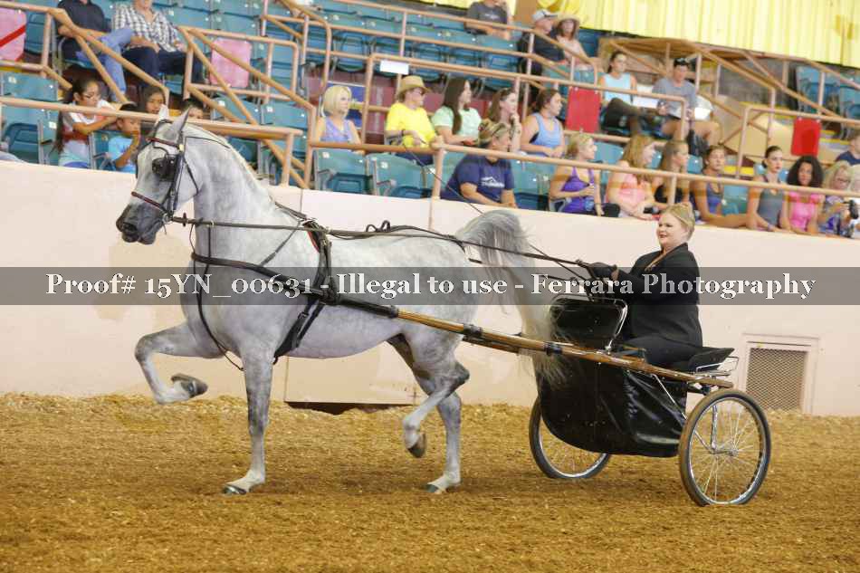 Proof 15YN_00631