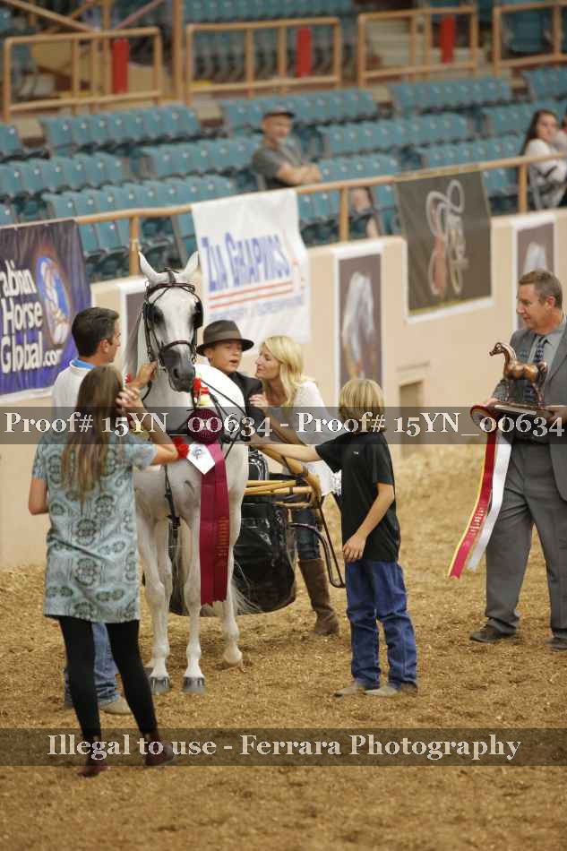Proof 15YN_00634