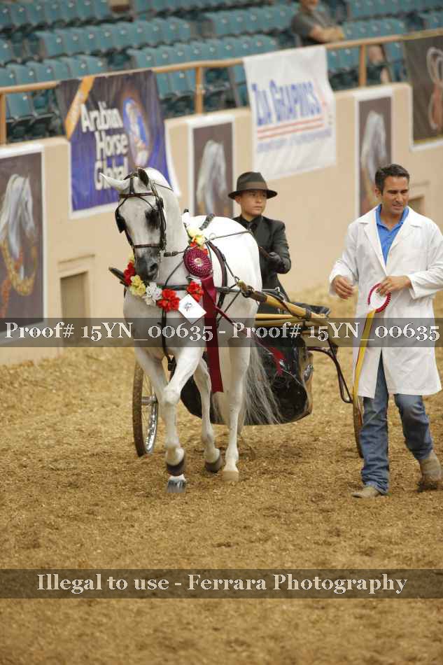 Proof 15YN_00635