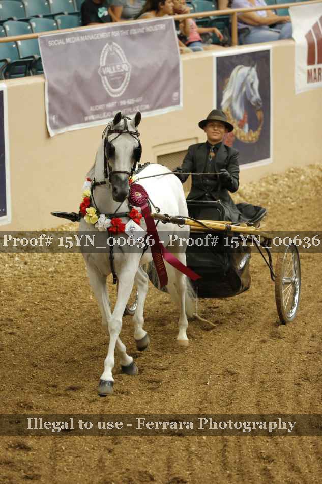 Proof 15YN_00636