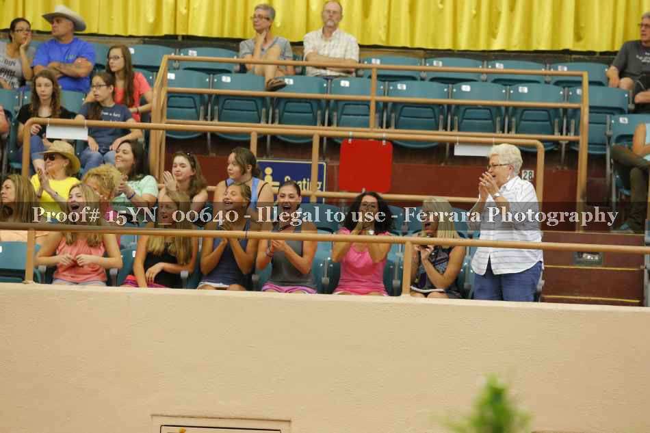 Proof 15YN_00640