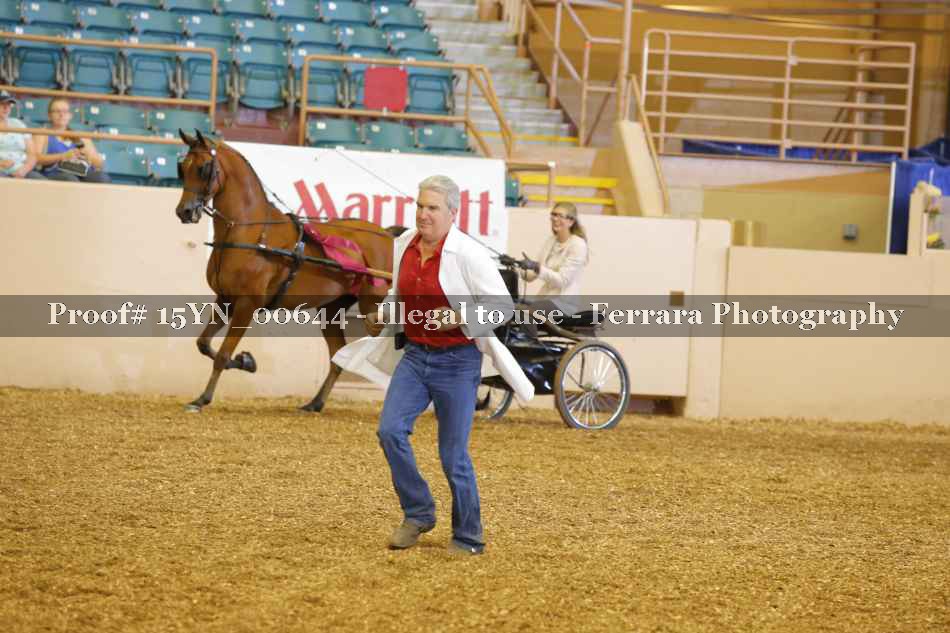 Proof 15YN_00644