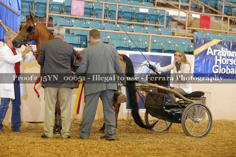 Proof 15YN_00651