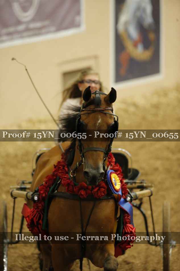 Proof 15YN_00655