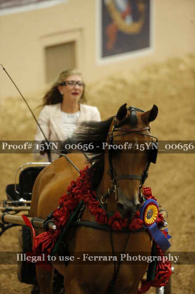 Proof 15YN_00656