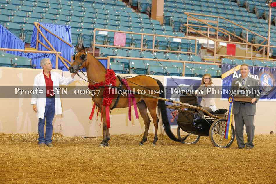 Proof 15YN_00657