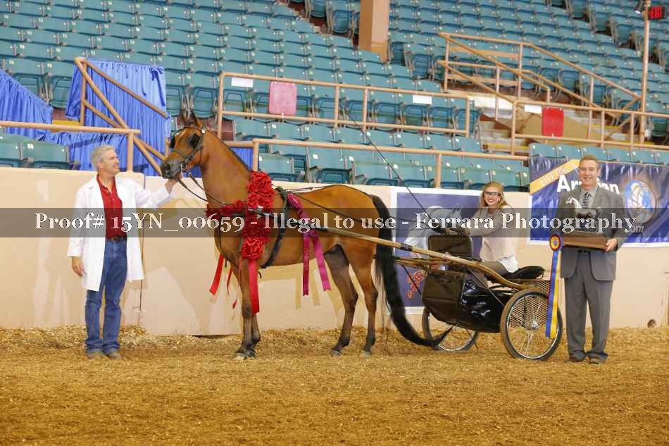 Proof 15YN_00659