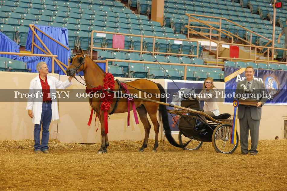 Proof 15YN_00660