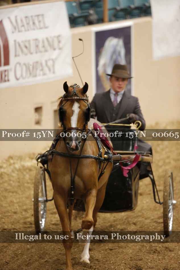 Proof 15YN_00665