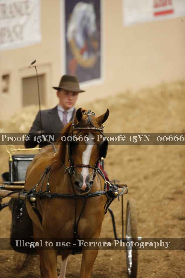 Proof 15YN_00666