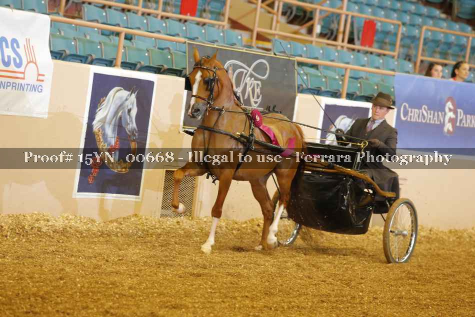 Proof 15YN_00668
