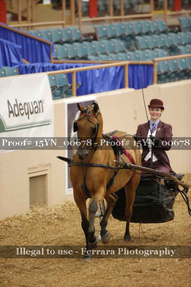 Proof 15YN_00678