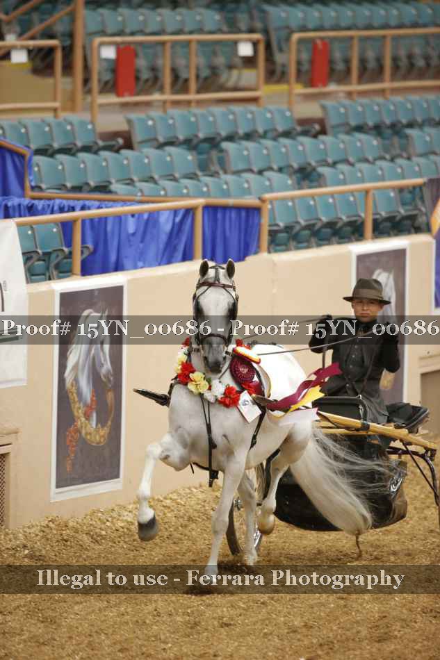 Proof 15YN_00686