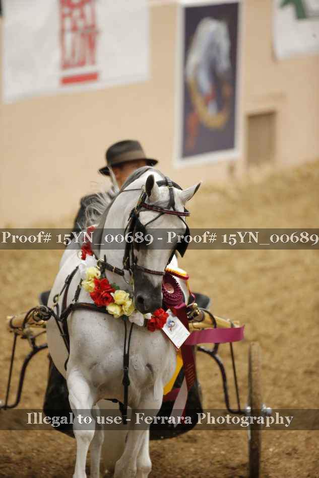 Proof 15YN_00689
