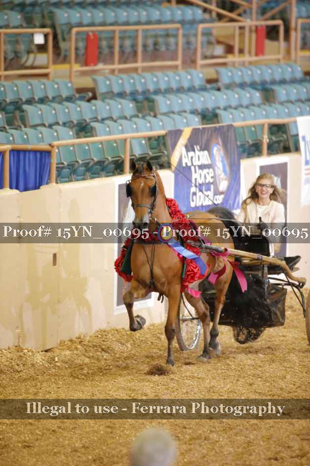 Proof 15YN_00695