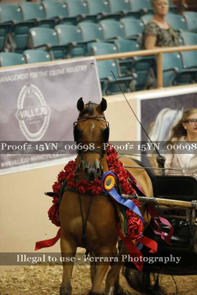 Proof 15YN_00698