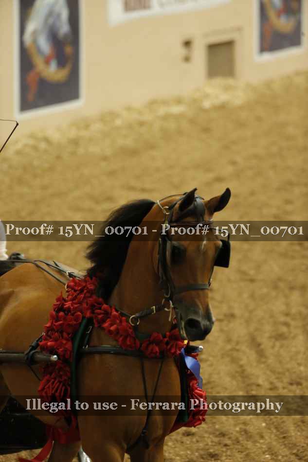 Proof 15YN_00701