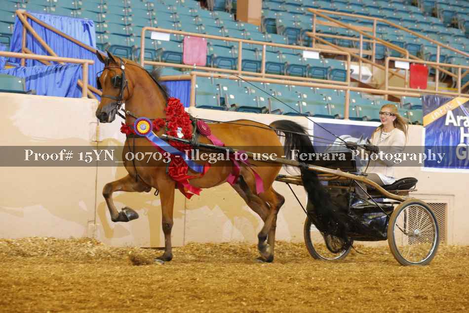 Proof 15YN_00703
