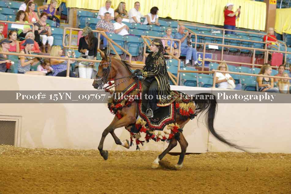 Proof 15YN_09767