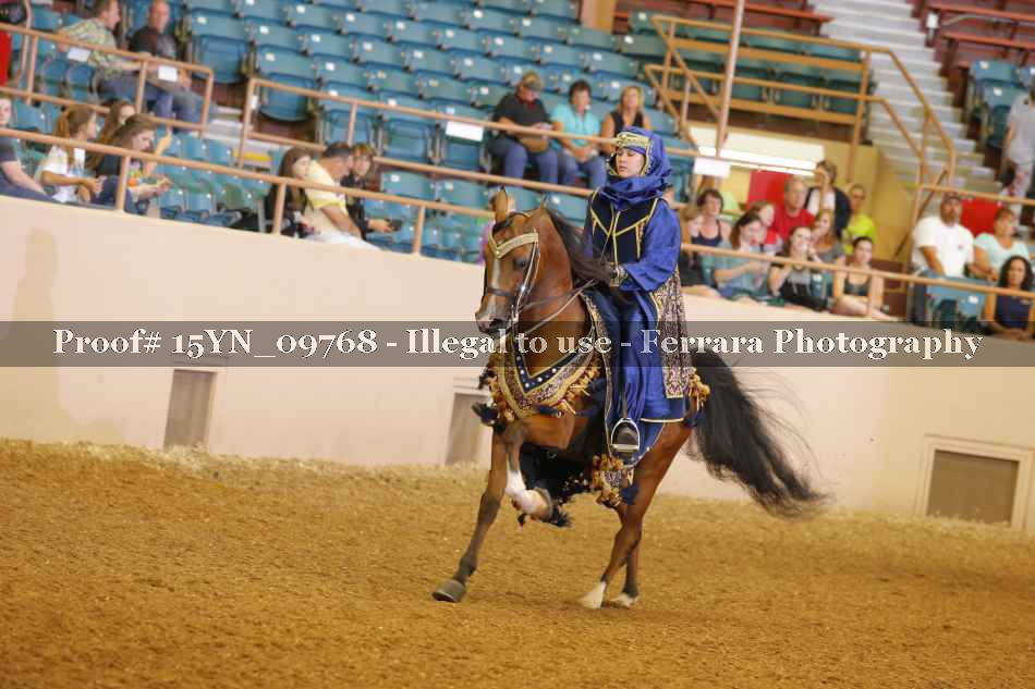 Proof 15YN_09768