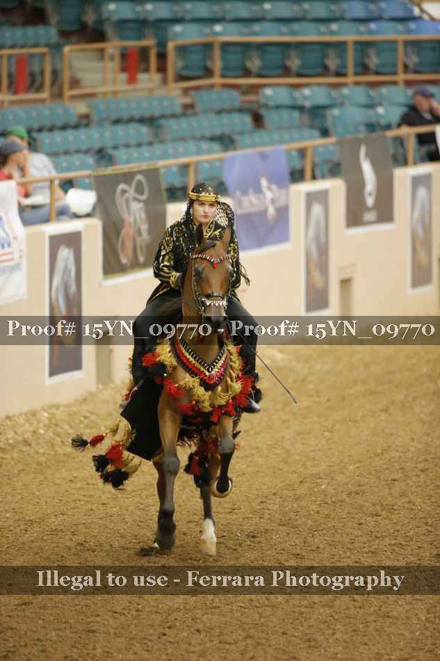 Proof 15YN_09770